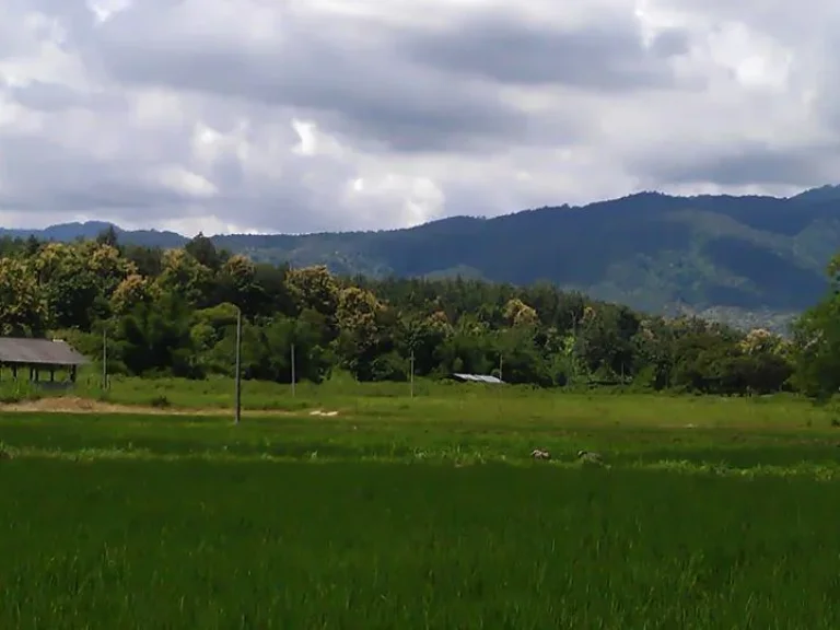 Scenic land in Maerim