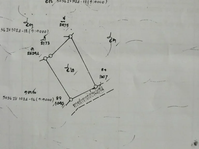 ขายที่ดินสวย พร้อมปลูกบ้านอยู่อาศัย