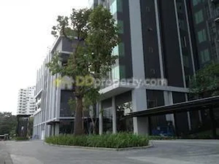 ขาย คอนโด่ ซีลเอมัย บายแสนสิริ l 35 sqm l Building B แถว BTS เอกมัย