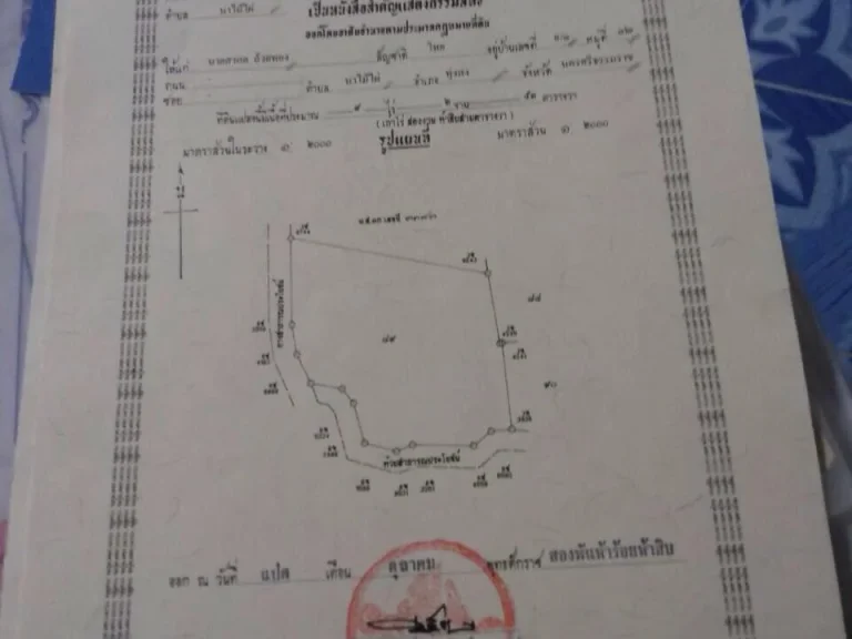 สนใจเสนอราคามาเลยค่ะขายได้ขายเลย ที่ดิน 9ไร่ 2งาน 53 ตารางวา มีต้นยางพร้อมกรีด