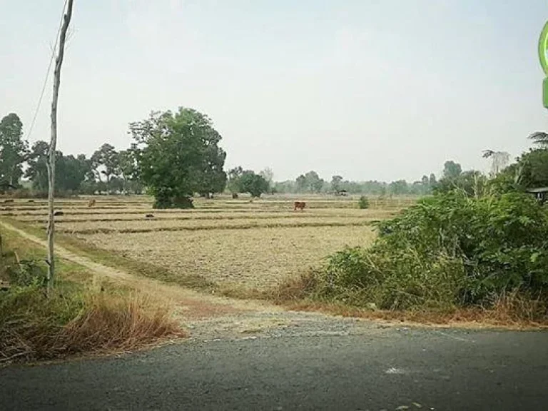 P-ที่นาทำเลดี อเมืองอุบล หลัง อบตไร่น้อย ติดถนนดำ เดินทางสะดวก