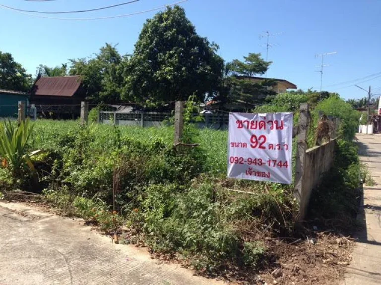 ขายที่ดิน ในตัวเมืองจังหวัดชัยนาท ใน ซบ้านกล้วย 5