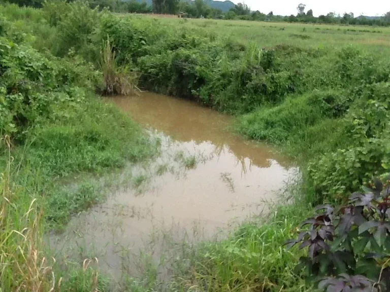 ที่ดินโฉนด 15 ไร่ไร่ละ 200000 บาท ติดถนน หลังติดลำห้วย มีน้ำตลอด วิวสวย