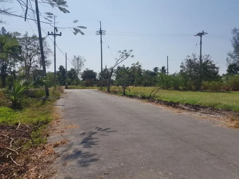 ขาย ที่ดินเปล่า ถมแล้ว 114 ตรว มปกิตา หาดเจ้าสำราญ