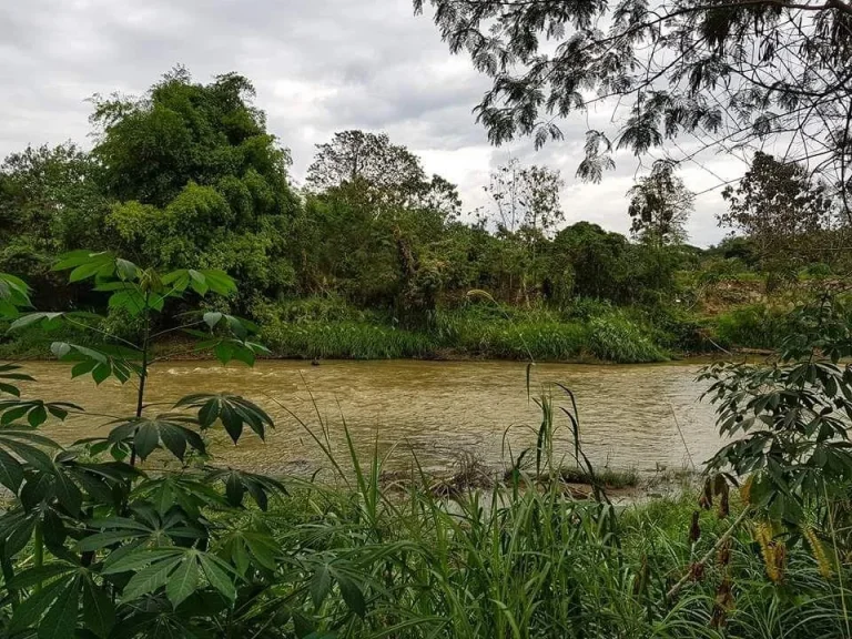 ขายที่ดินติดน้ำปิง 250 ตรว น้ำใส มีโขดหิน ใกล้เมือง 55 ล้าน