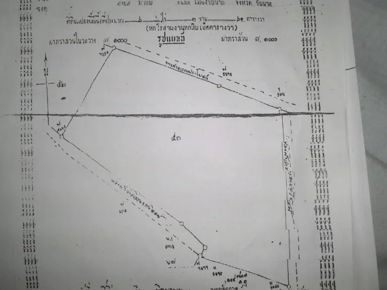 ขายนา6-3-61ทำนาได้ทั้งปี