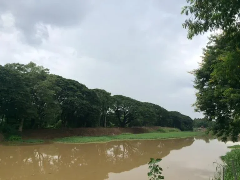 ที่ดินติดแม่น้ำปิง ย่านวัดเกตุ เมือง เชียงใหม่ วิวสวยที่สุดในเมือง