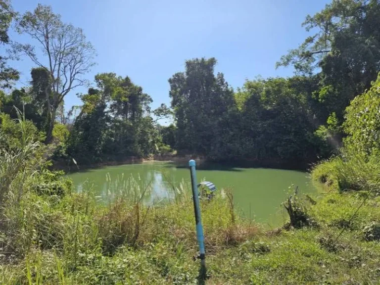 ขายสวนทุเรียน อำเภอมะขาม จันทบุรี ติดถนนลาดยาง ระบบน้ำไฟ