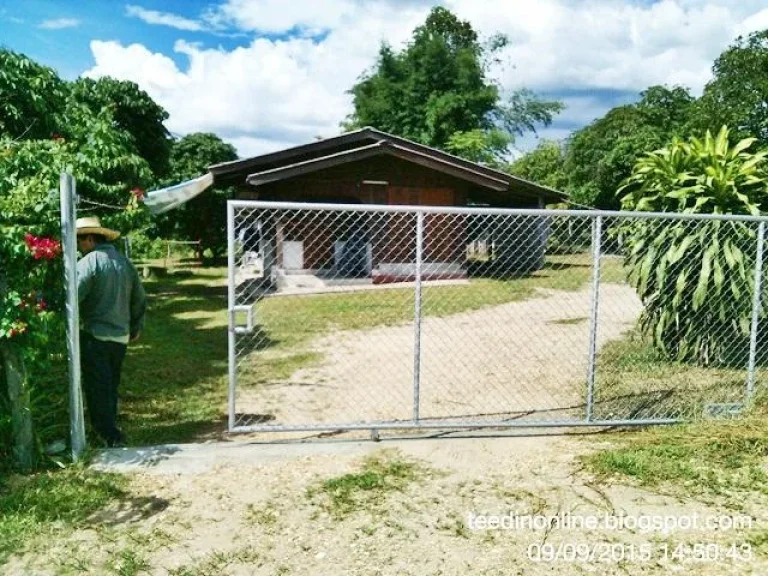 บ้านบนเนิน200ตรววิวสวยราคาถูก ตแม่แฝกใหม่ อสันทราย