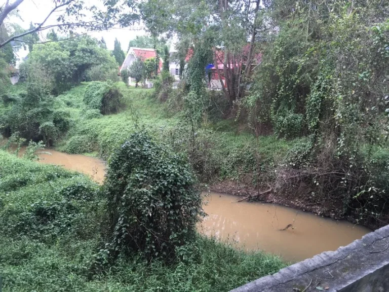 ที่ดินโฉนด 101 ไร่ ติดถนนสายหลัก21 ติดลำห้วย ใกล้ย่านชุมชน อภูเรือ จเลย