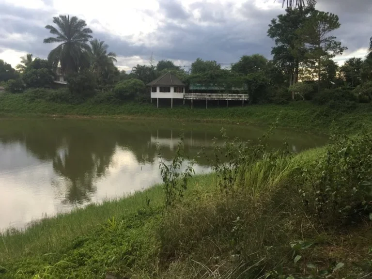 ที่ดินโฉนด 101 ไร่ ติดถนนสายหลัก21 ติดลำห้วย ใกล้ย่านชุมชน อภูเรือ จเลย