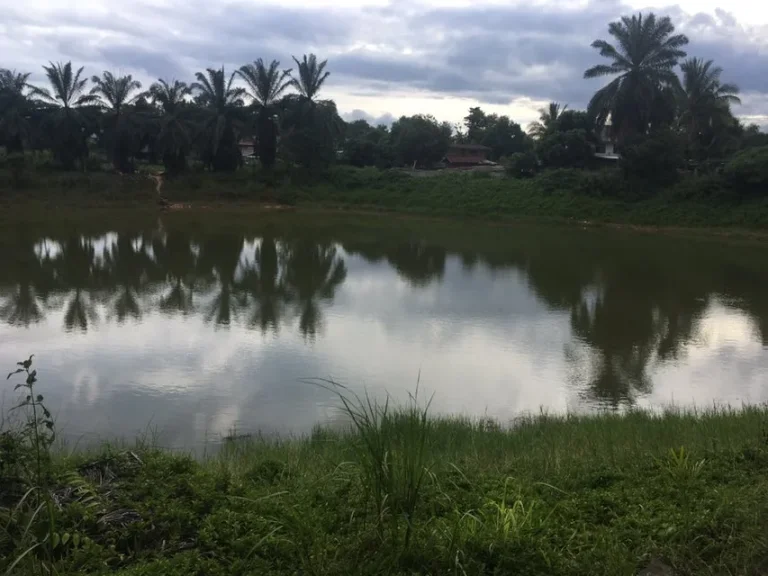 ที่ดินโฉนด 101 ไร่ ติดถนนสายหลัก21 ติดลำห้วย ใกล้ย่านชุมชน อภูเรือ จเลย