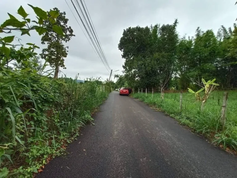 ขายที่ดินสันโป่งแม่ริม ห่างตัวเมืองเชียงใหม่ 24 km