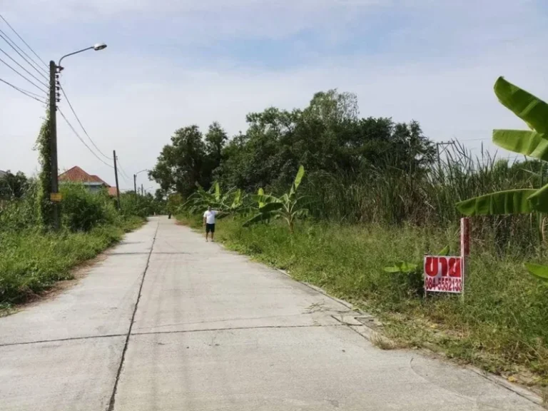 ขาย ที่ดิน 118 ตรว บริเวณซอย ติดถนนอักษะ พุทธมณฑลสาย 3 ถนน สวยที่สุดในประเทศ ซอย 19 กทม