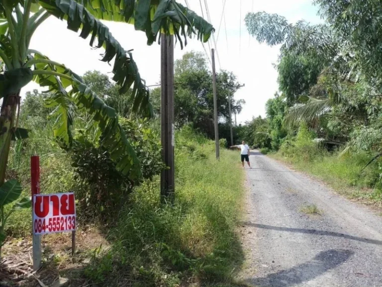 ขาย ที่ดิน 118 ตรว บริเวณซอย ติดถนนอักษะ พุทธมณฑลสาย 3 ถนน สวยที่สุดในประเทศ ซอย 19 กทม