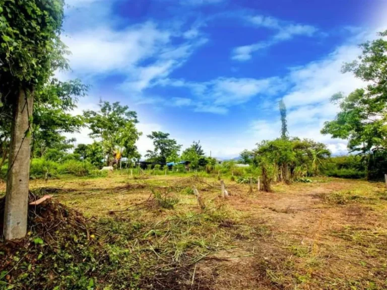 ขายที่ดินสันโป่งแม่ริม บ้านหนองอาบช้าง