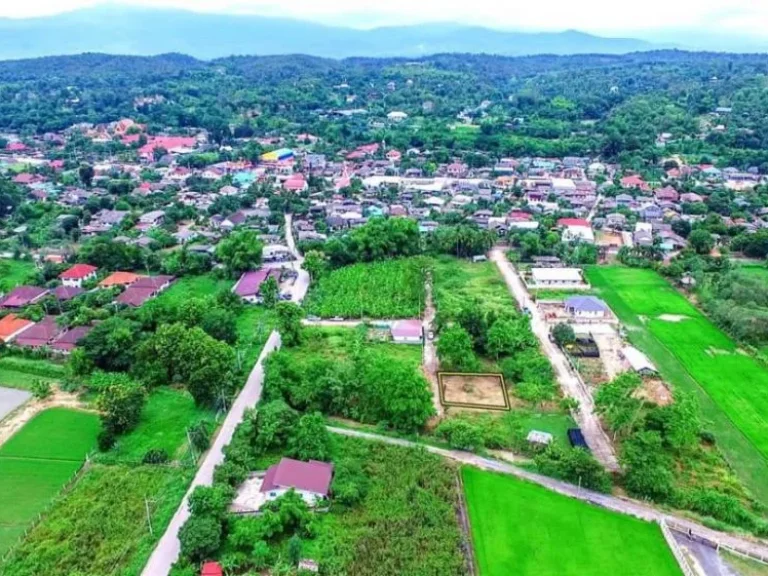 ขายที่ดินสันโป่งแม่ริม บ้านหนองอาบช้าง