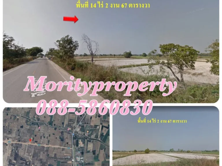 ขายที่ดิน ตบ้านกล้วย อเมืองสุโขทัย ใกล้มหาวิทยาลัยการกีฬาแห่งชาติ วิทยาเขตสุโขทัย