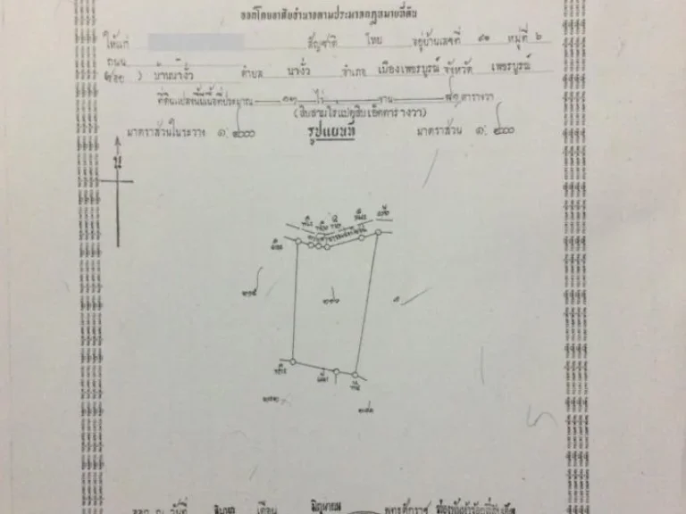 ขายที่ดิน 13 ไร่ 81 ตารางวา มีโฉนด ตนางั่ว อเมืองเพชรบูรณ์ เจ้าของขายเอง ที่ดินอยู่ทางถนนเลี่ยงเมืองเพชรบูรณ์