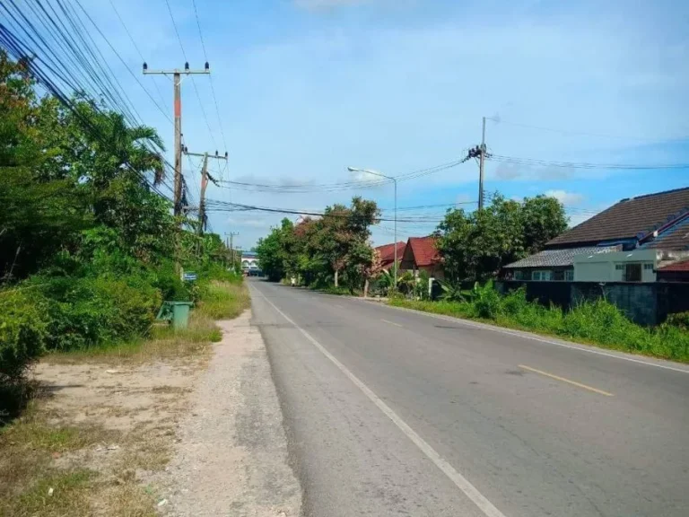 ขายที่ดินติดถนนราคาถูกทำเลดีมาก