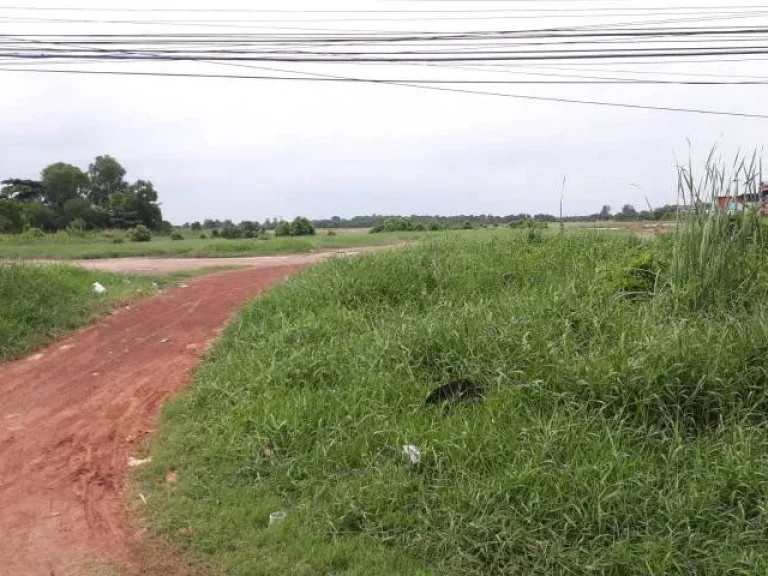 ที่ดินติดถนนสุวินทวงศ์ เขตหนองจอก กรุงเทพฯ