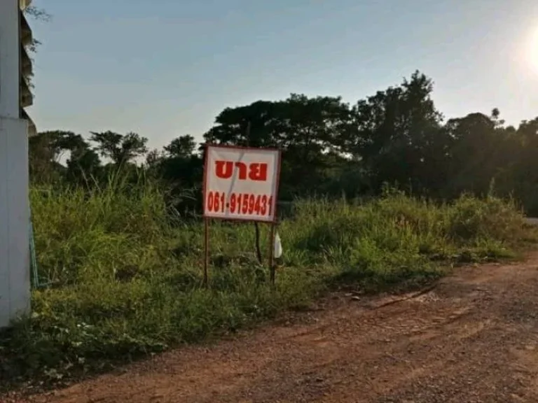 ขายที่ดินแถวบ้านคลอง เข้าซอยตรงข้ามเซ็นทรัลพิษณุโลก