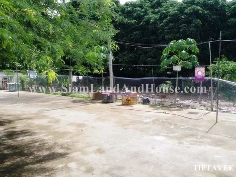 ขายที่ดินเชียงใหม่ ที่ดินถูก ใกล้โรงพยาบาลสันป่าตอง เชียงใหม่ Sale Land Near Sanpatong Hospital Chiangmai THAILAND