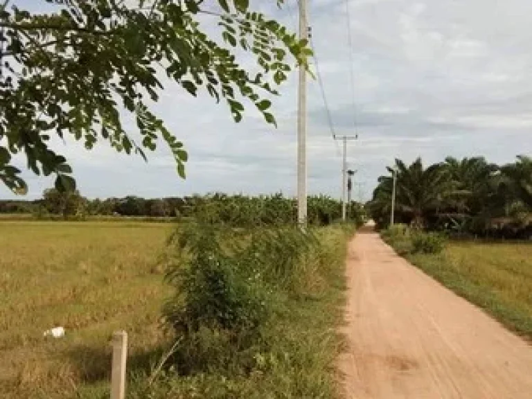 ที่ดินเปล่า สามารถทะลุไปชายหาดชะอำ จเพรชบุรี เนื้อที่ 2 ไร่ 2 งาน 27 ตรว