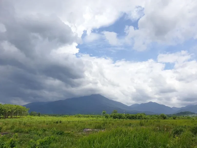 ขายสวนผลไม้ จันทบุรี 17ไร่ ฉโนด