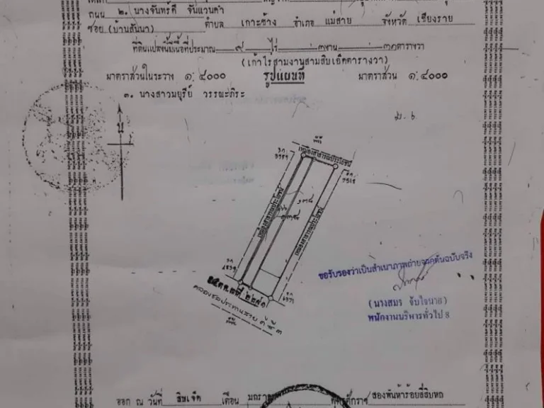 ขายที่นา 6ไร่ 3งาน แม่สาย เชียงราย