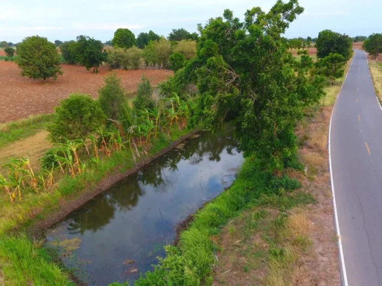 ที่ดิน 12ไร่ ติดถนน 450000บไร่ อสูงเนิน จนครราชสีมา