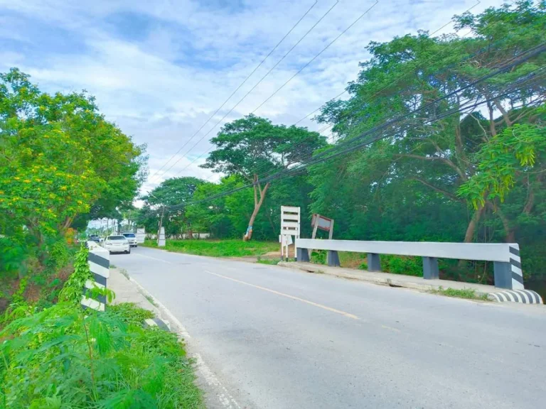 ขายที่ดินดอนแก้วห่างถนนหลัก 200 เมตร สารภี เชียงใหม่