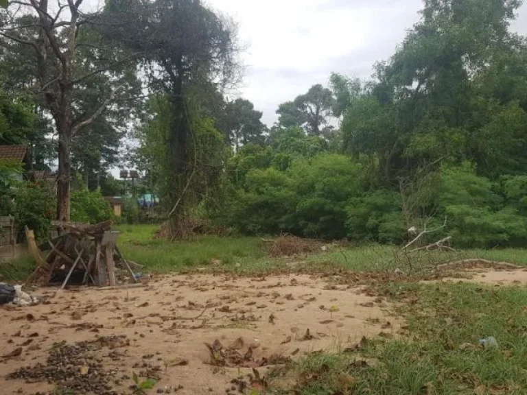 ขาย ที่ดิน ติดทะเล หาดเจ้าหลาว จันทบุรี