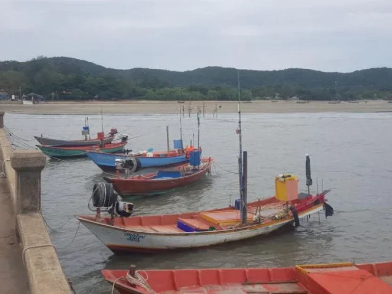 ขาย ที่ดิน ติดทะเล หาดเจ้าหลาว จันทบุรี