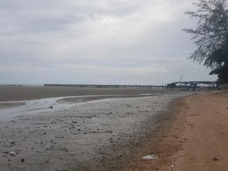 ขาย ที่ดิน ติดทะเล หาดเจ้าหลาว จันทบุรี