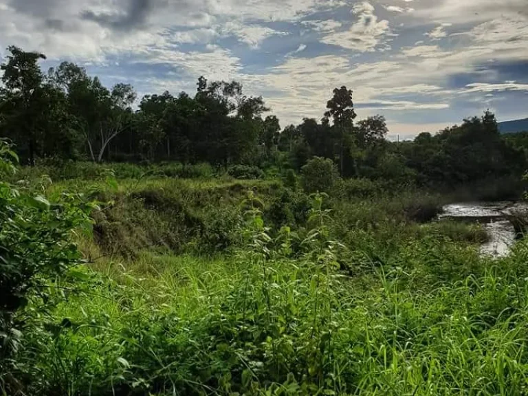 ขายที่ดินแม่ออน สันกำแพง เชียงใหม่