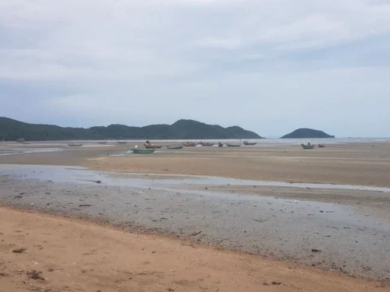 ขาย ที่ดินโลเคชั่นดี อยู่ติดทะเล หาดเจ้าหลาว จันทบุรี เหมาะสำหรับผู้ที่ต้องการลงทุนกิจการรีสอร์ท โรงแรม ที่พักตากอากาศ ื