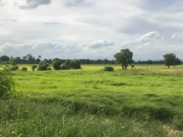 ขายที่ดิน ตัวเมืองปราจีนบุรี