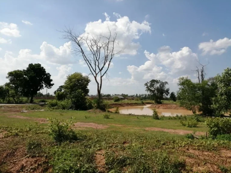 ที่ดิน หนองโพรง เทศบาลอิสาณ