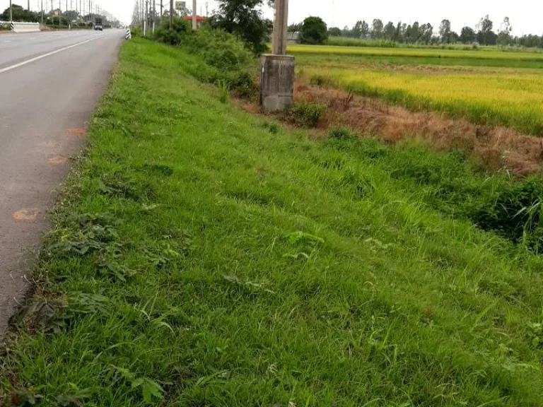 ขายที่ดิน 30 ไร่ ติดถนนพิษณุโลก-สุโขทัย ราคาไร่ล่ะ 2 ล้านค่ะ