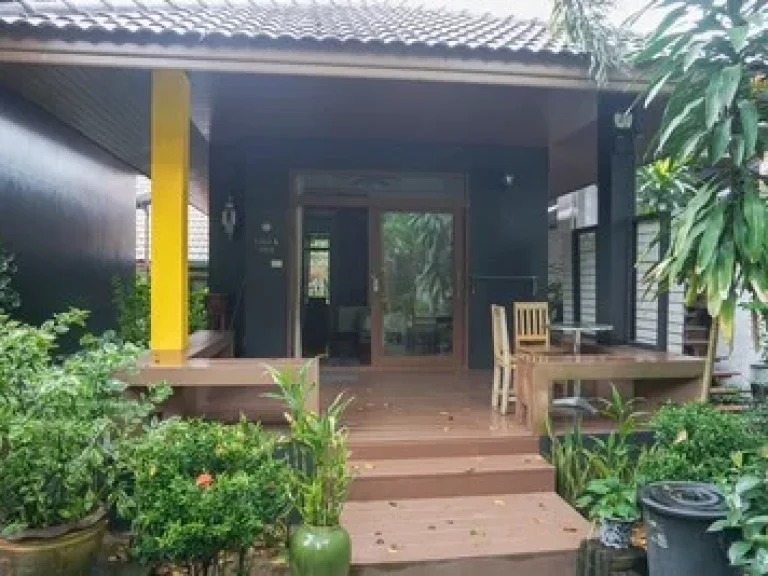 Sell house business house rental nearly Hin Ta and Hin Yai Rocks in Koh Samui