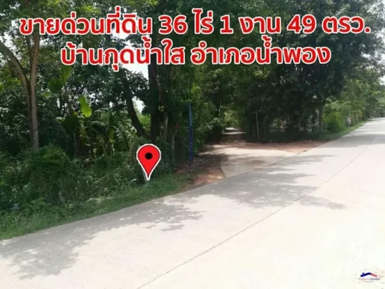 ขายด่วนที่ดิน 36 ไร่ 1 งาน 49 ตรวา บ้านกุดน้ำใส อำเภอน้ำพอง ขอนแก่น