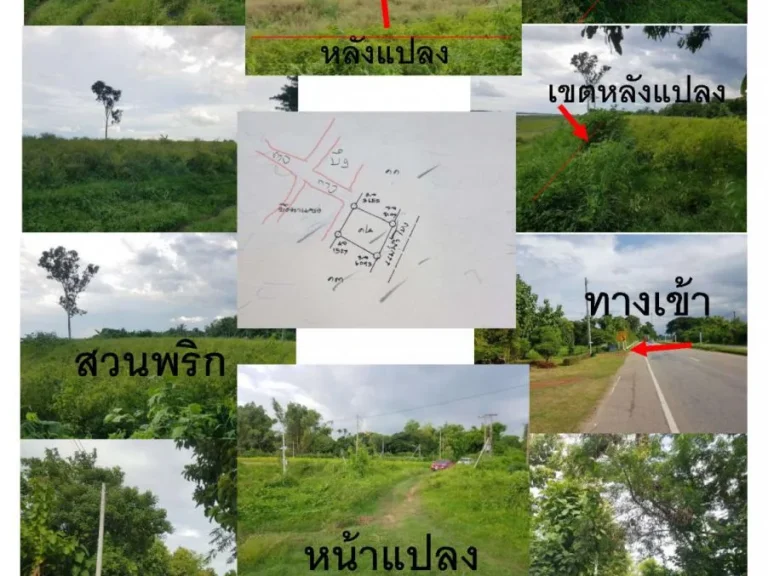 ขายที่ดินติดแม่น้ำโขง อธาตุพนม