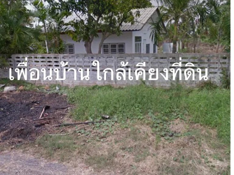 ขายที่ดินคลอง15 องครักษ์ 8 ไร่