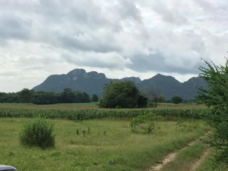 ขายที่ดิน เหนือเขือนป่าสักฯ