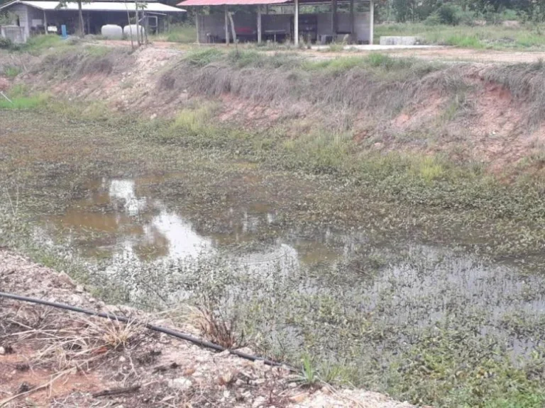 ขายที่ดินสำหรับเกษตรกรรม พร้อมบ้านและเรือนเพาะชำ อหันคา จังหวัดชัยนาจ