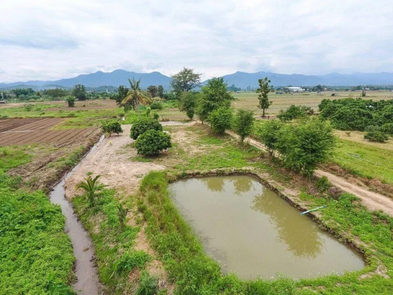 ขายที่ดินวิวทุ่งนา เห็นภูเขา มีบ่อน้ำ ไกล้ตลาดแม่วาง เชียงใหม่