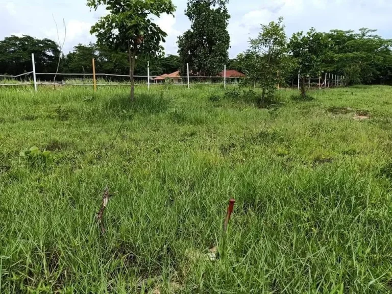 ขายที่ดินสันพระเนตรบ้านมอญ สันกลาง เชียงใหม่