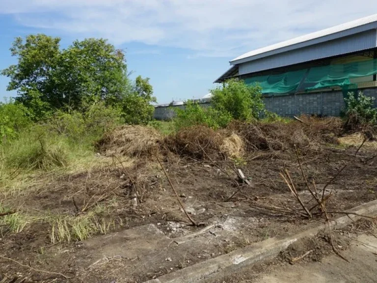 ขาย ที่ดิน ซอยคลองสี่ 10 คลองสี่ คลองหลวง ปทุมธานี เนื้อที่ 1 ไร่ 94 ตรว ถูกมาก ถมแล้ว