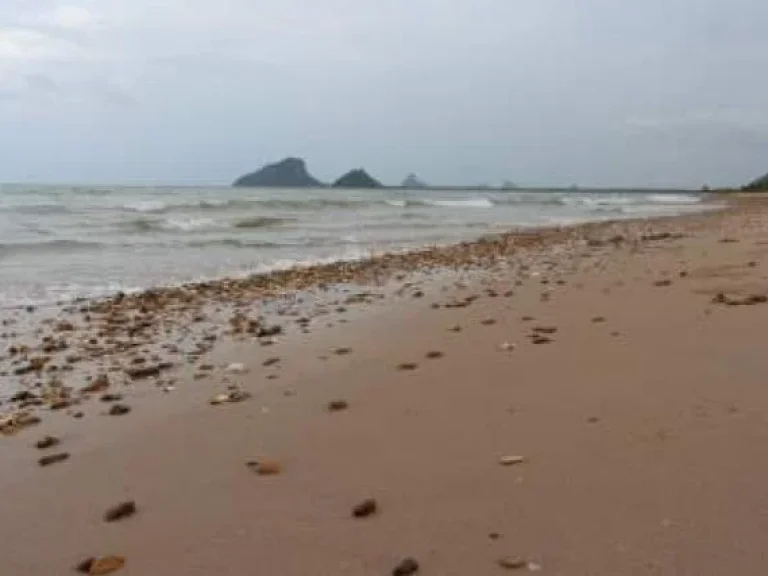 ขายหรือเช่าที่ดินติดทะเลกุยบุรีSaleRent - Beachside Land in KUI BURI PRACHUAP KIRI KHAN 